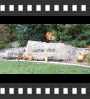 ../pictures/Akron Zoo/DSCF5009_1_small_icon.jpg